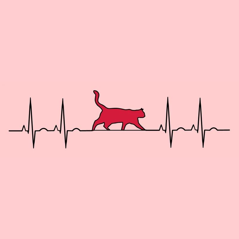 Chat d'électrocardiogramme