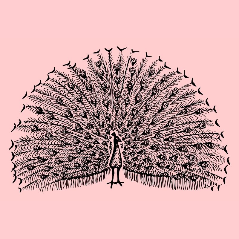 Pfau