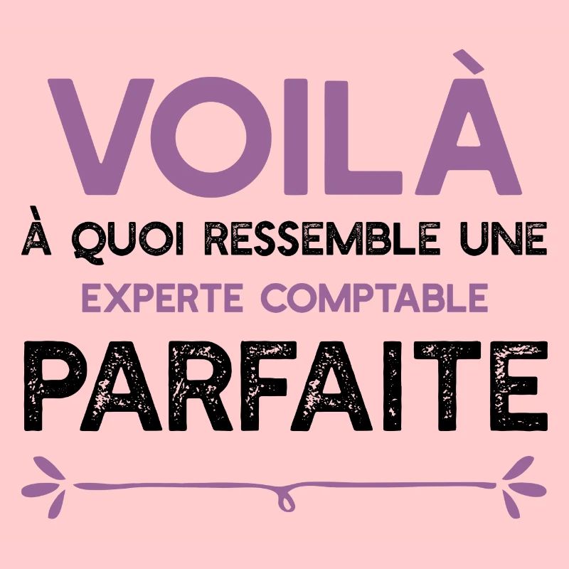 Une Experte comptable parfaite cadeau