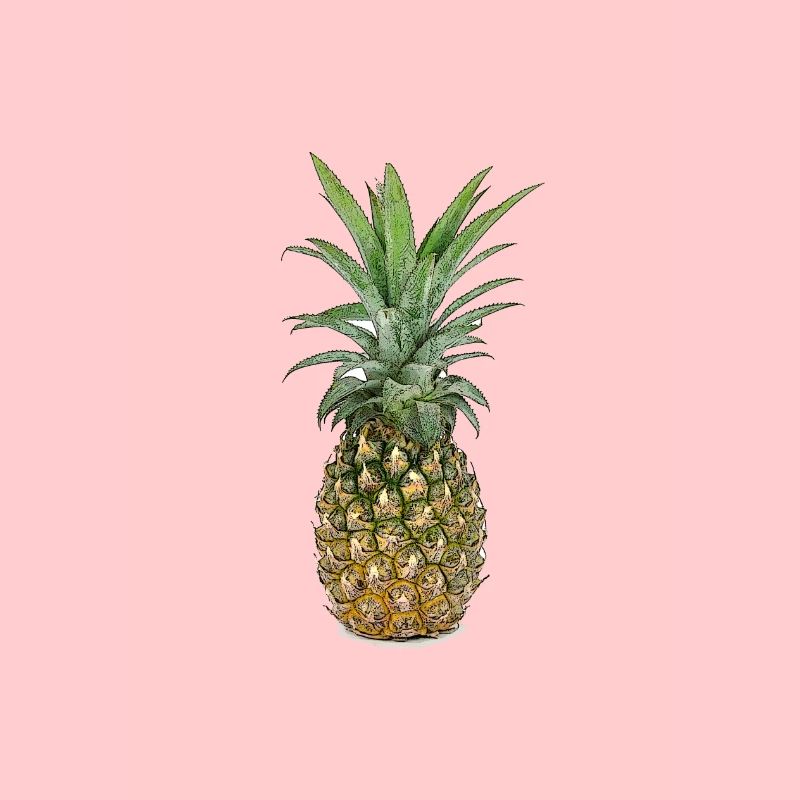 Ananas | Pineapple