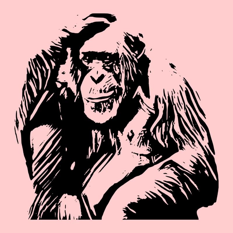 Chimpanzé