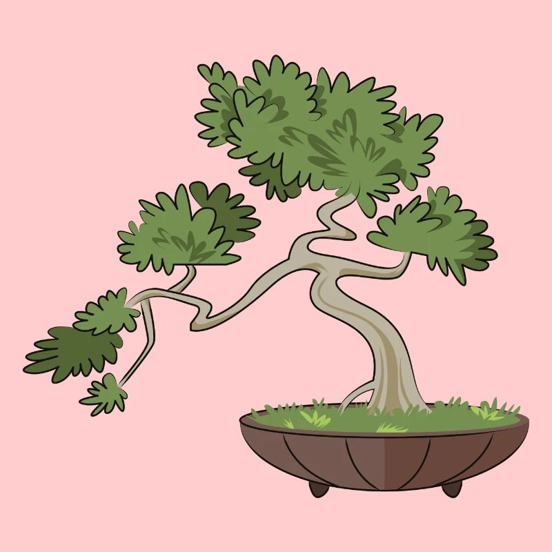 Bonsai tree