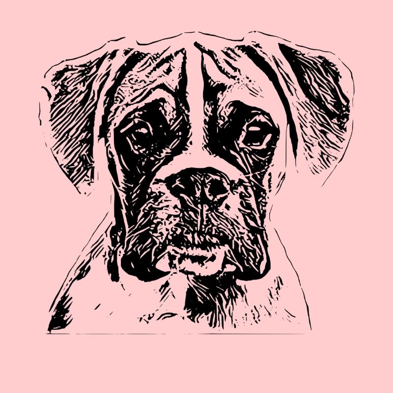 boxer