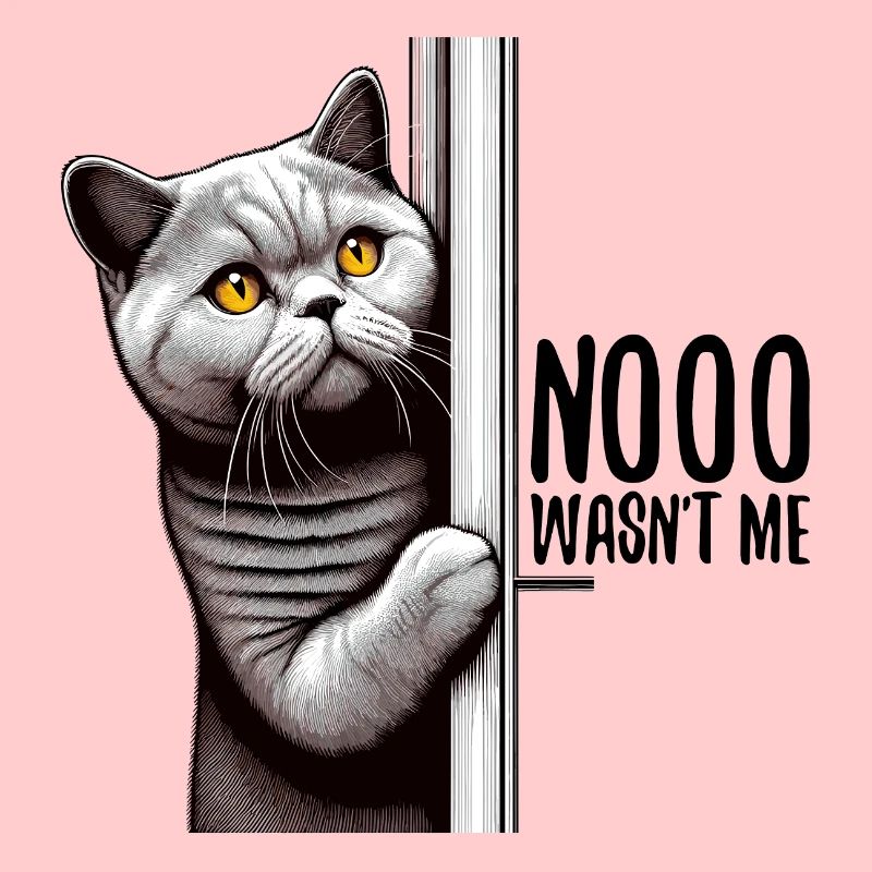 Nein war ich nicht BKH Blue Katze Geschenk