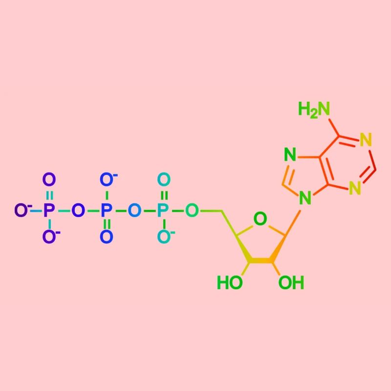 Adenosintriphosphat - ATP - Regenbogen
