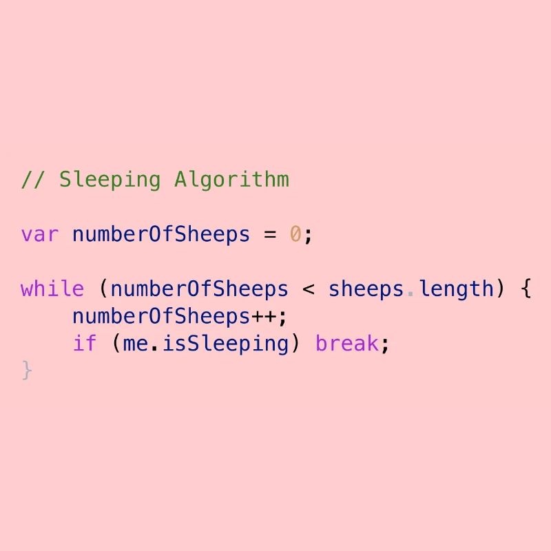 Programmierer Code Schäfchen zählen Logik