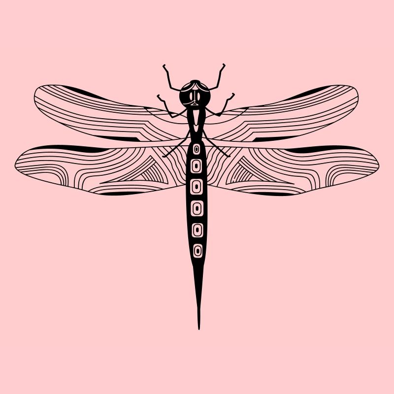 Dragonfly (a)