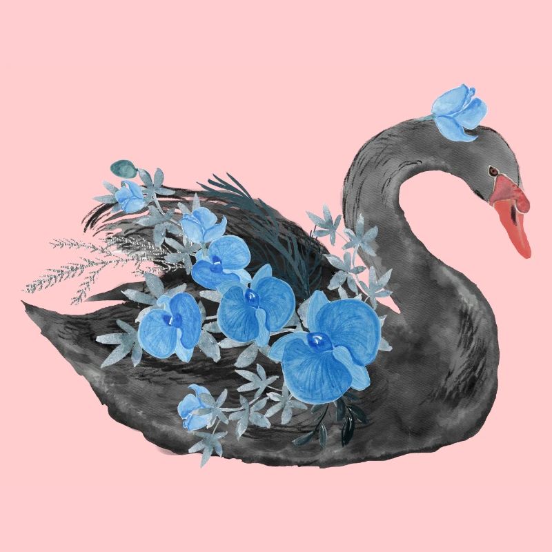 Schwarzer Schwan