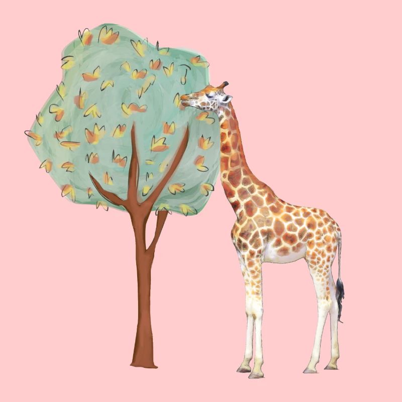 giraffe | giraffe