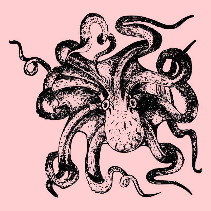 squid giant octopus octopus octopus squid sepia fish