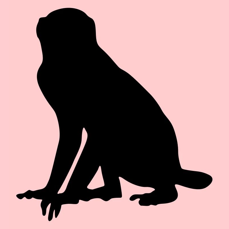 Affe Tier