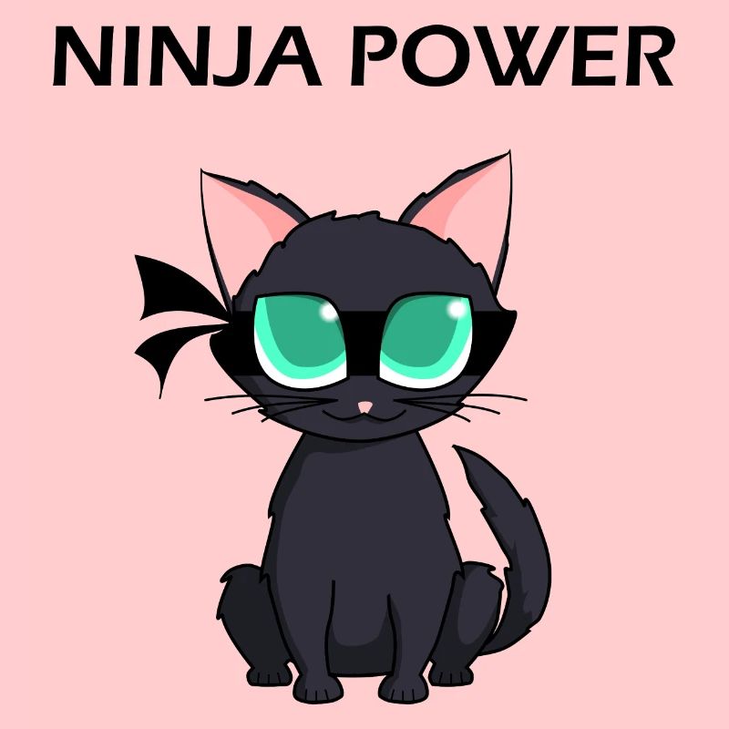 Ninja Warrior - Ninja Power