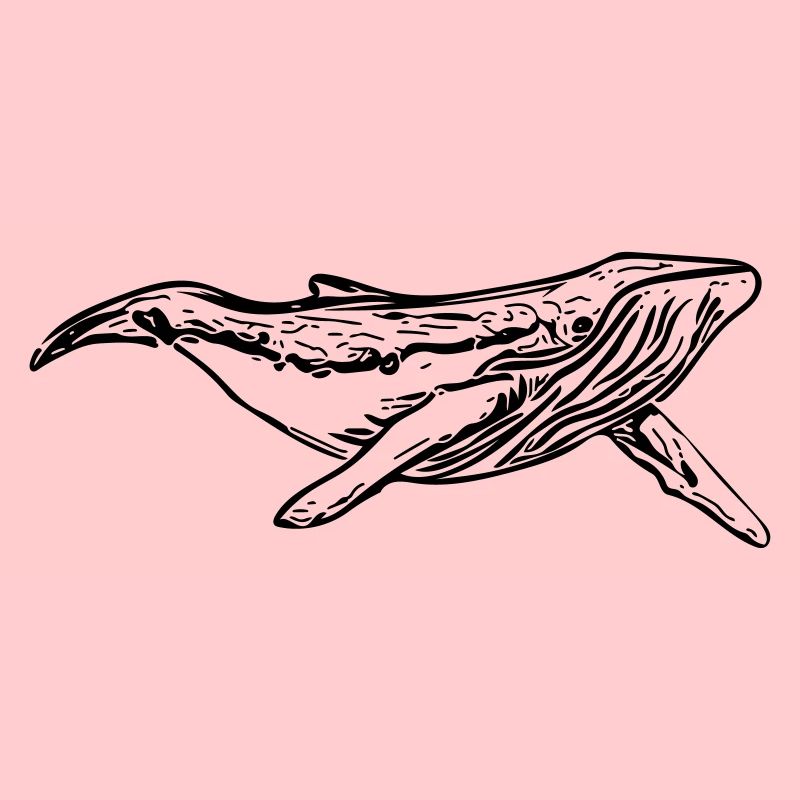 Wal