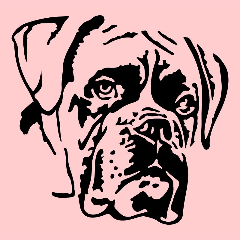 Boxer