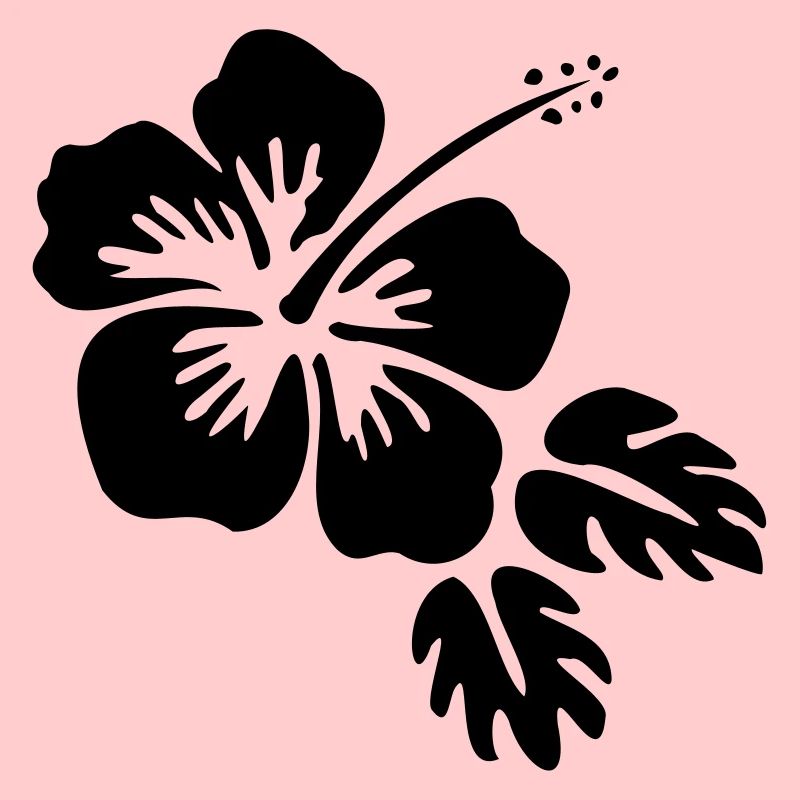Hibiscus fleur fleur Blossom fleur fleur