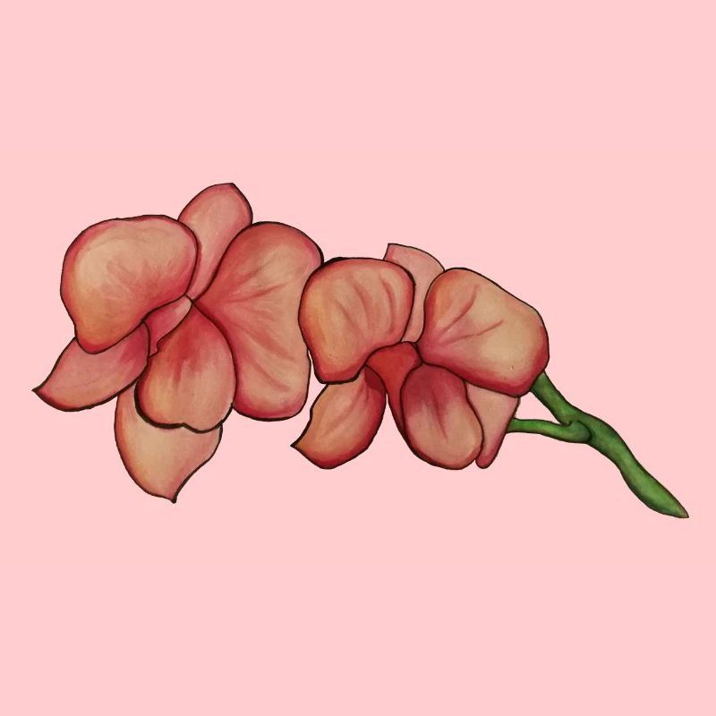 Orchidée rose