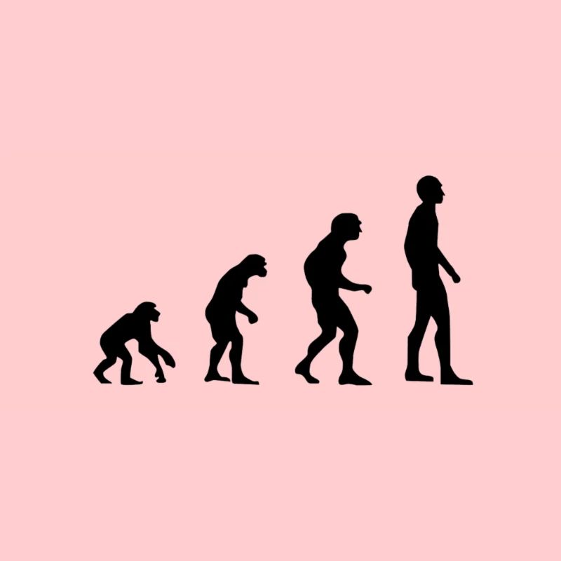 Evolution Mensch