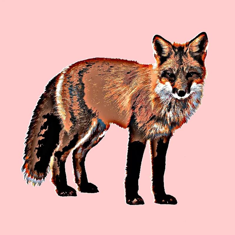Fox