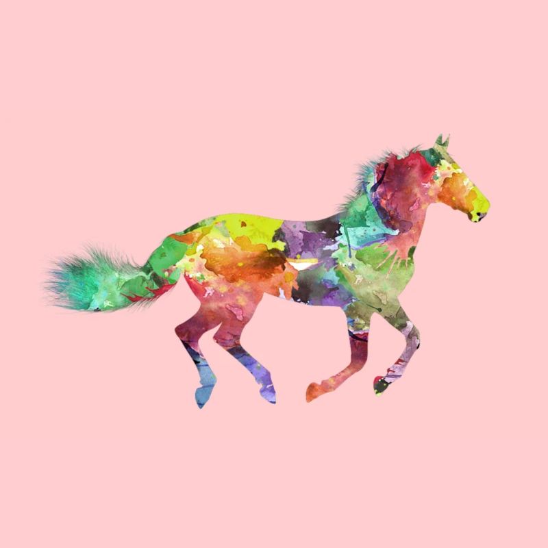 Buntes Pferd Geschenkidee Pferdchen