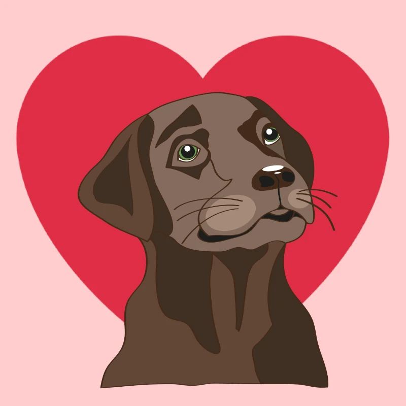 Labrador