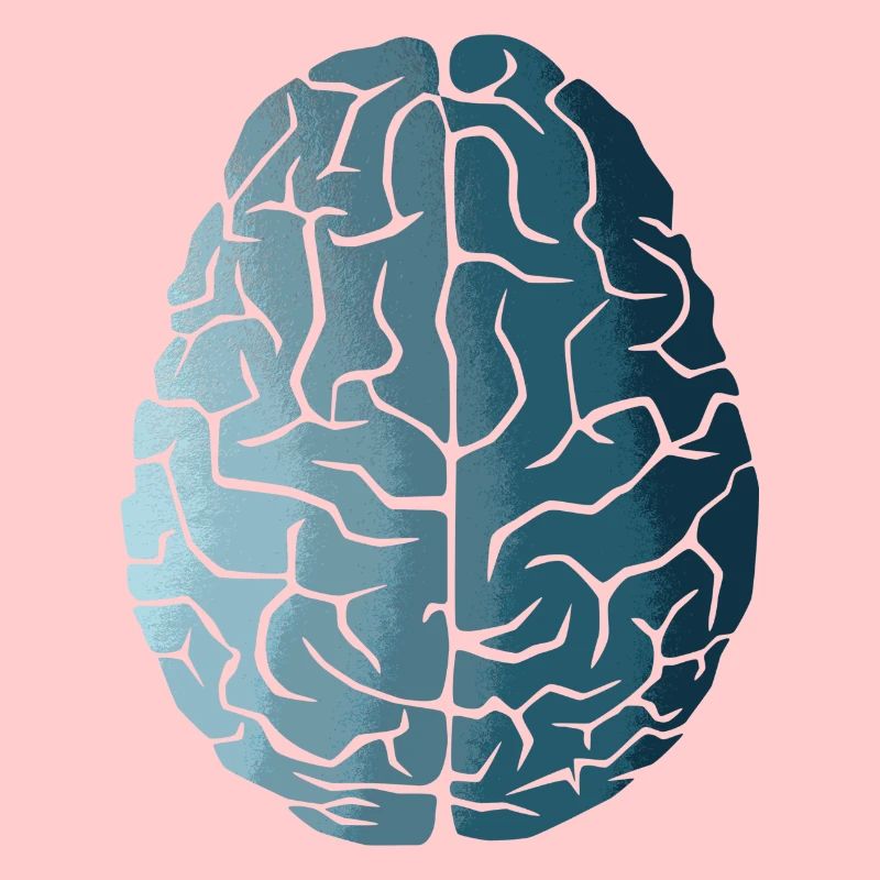 Évolution du cerveau