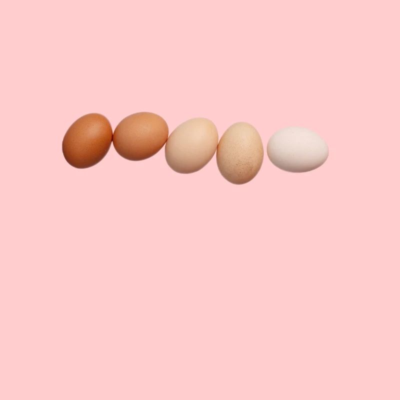 Eier