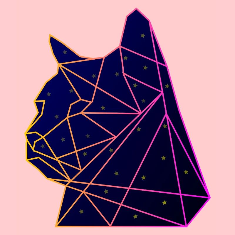 Space Cat