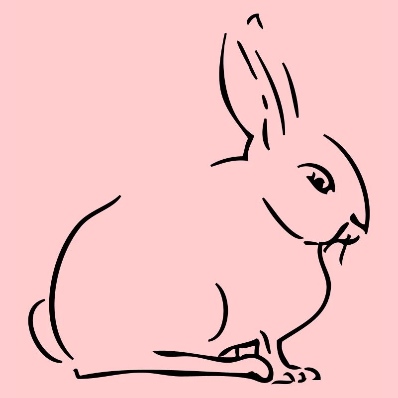 Lapin