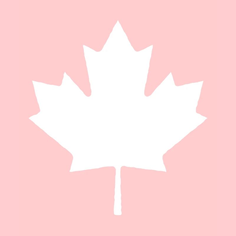 Maple maple leaf