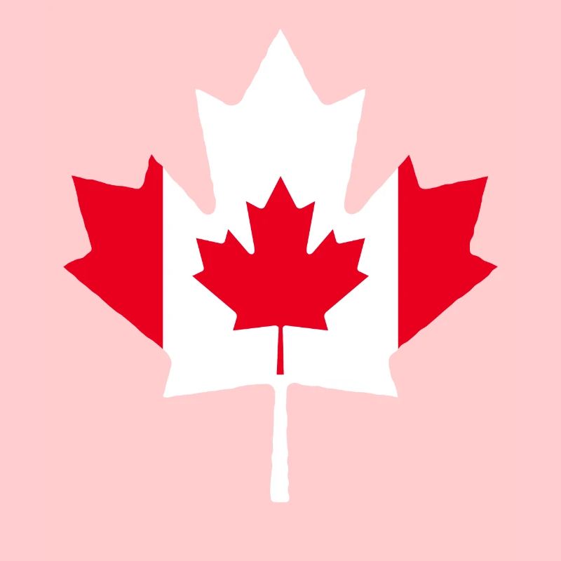 Maple Maple Leaf Canada
