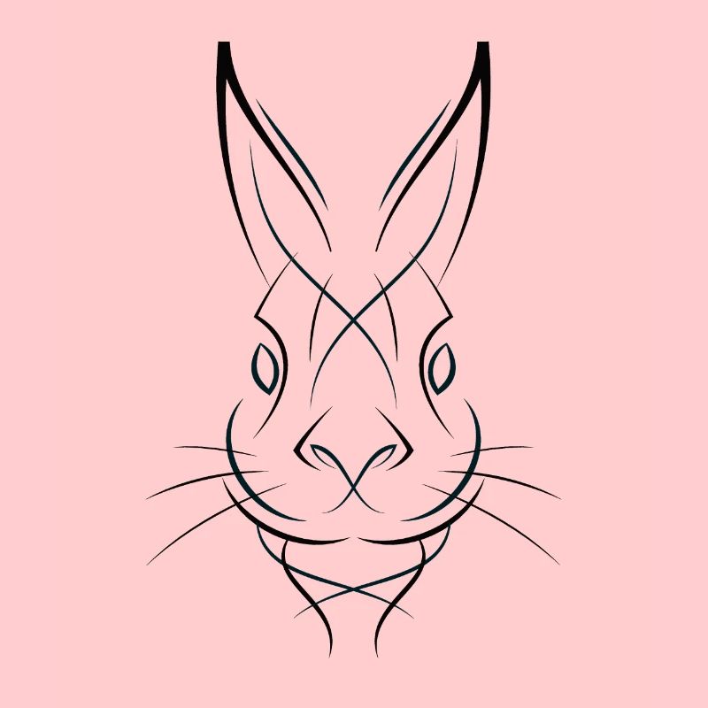 Lapin lapin lapin