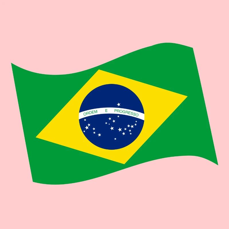 Drapeau brésilien