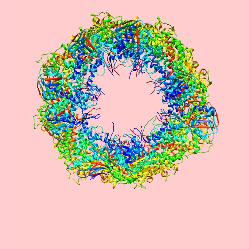 Biologie structurale molécule de chaperonine