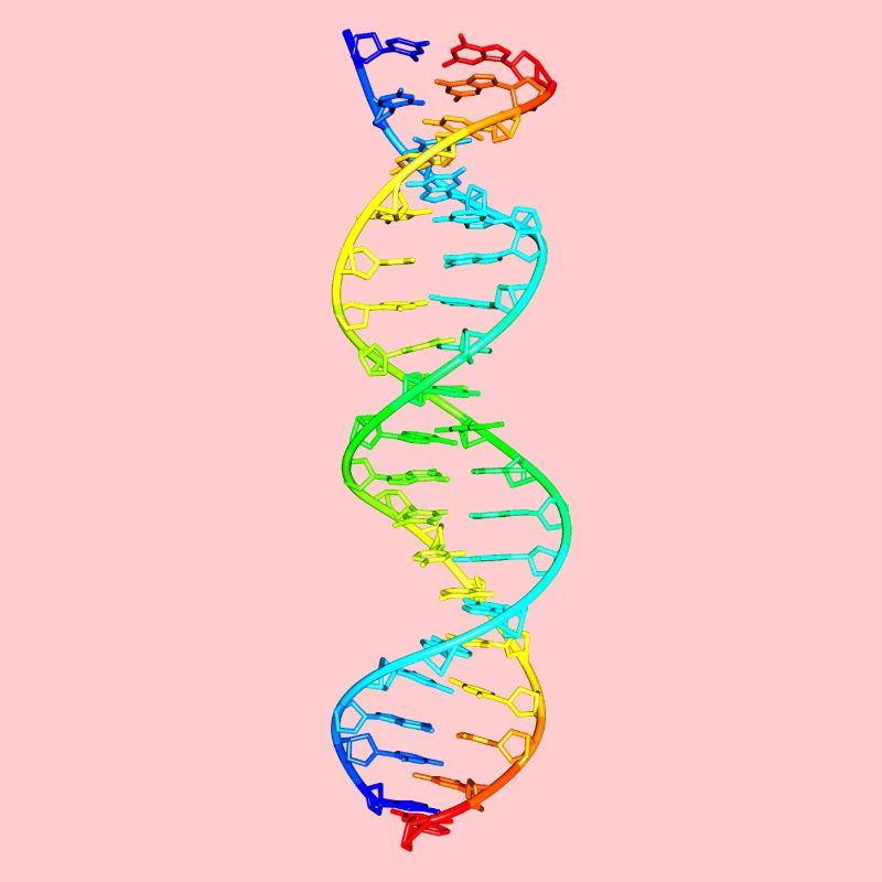 modèle coloré de molécule d'ADN d'acide désoxyribonucléique