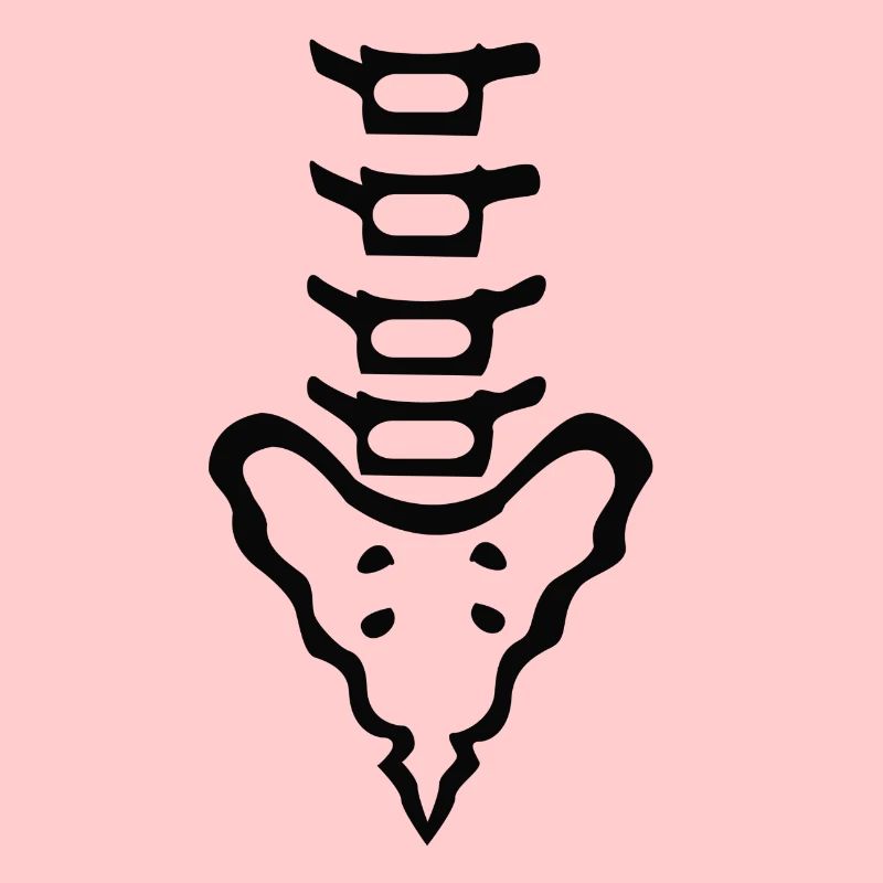 spine