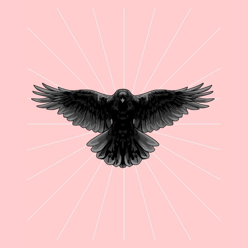 Rayons Corbeau Corbeau Oiseau Oiseau image Dark