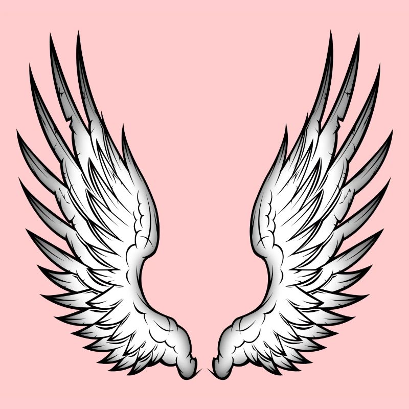 ailes d'ange