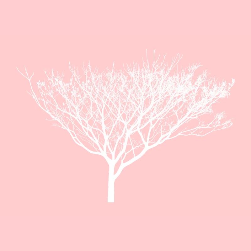 beautiful white tree