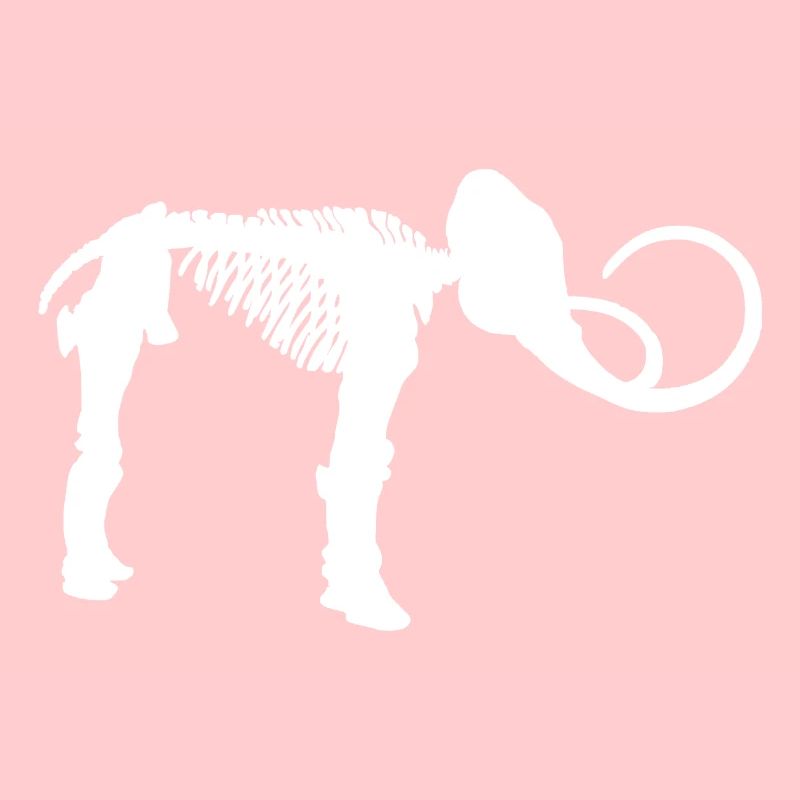 Mammut Eiszeit Skelett