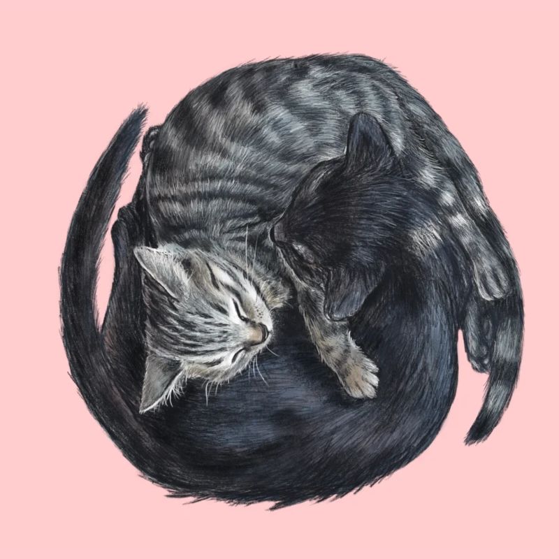 Yin & Yang Katzen - Geschenkidee - Kätzchen - süß