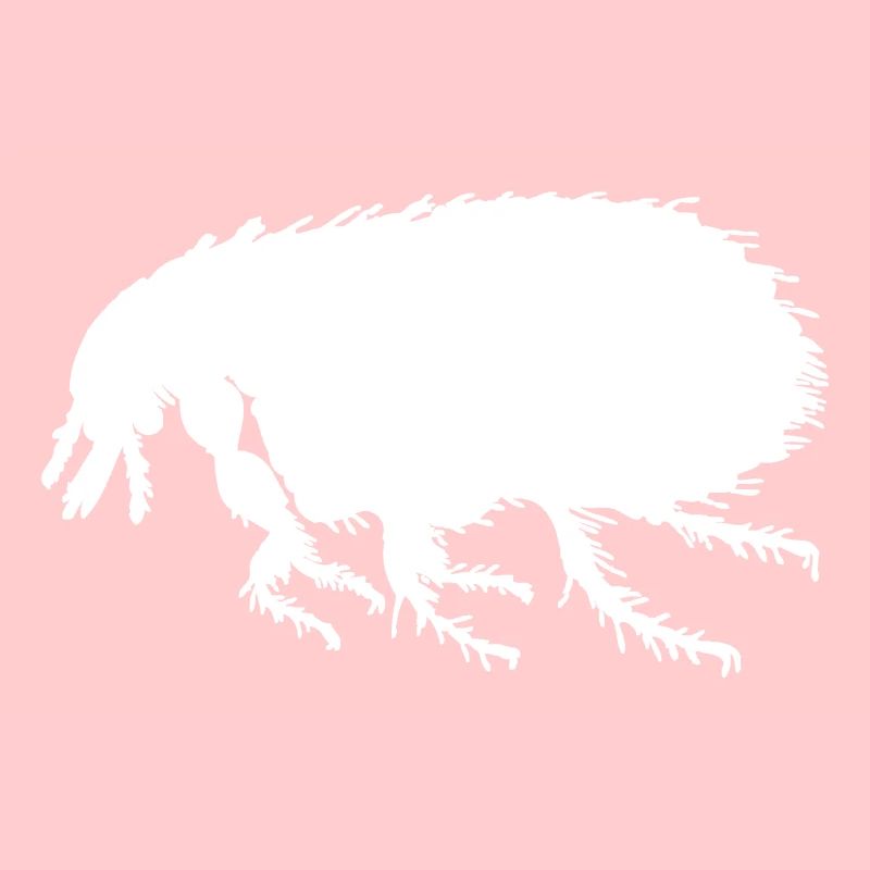 puce