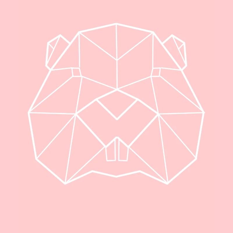 Beaver polygon