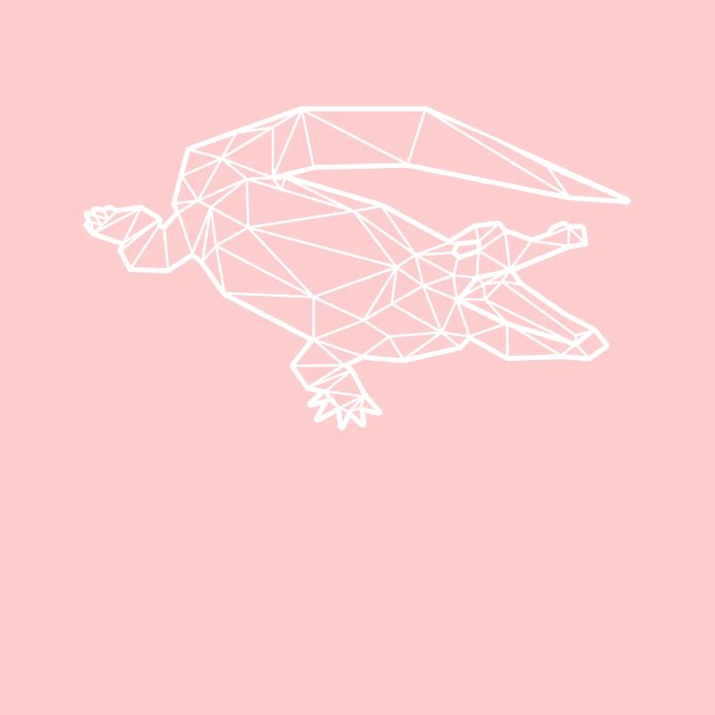 Crocodile polygon