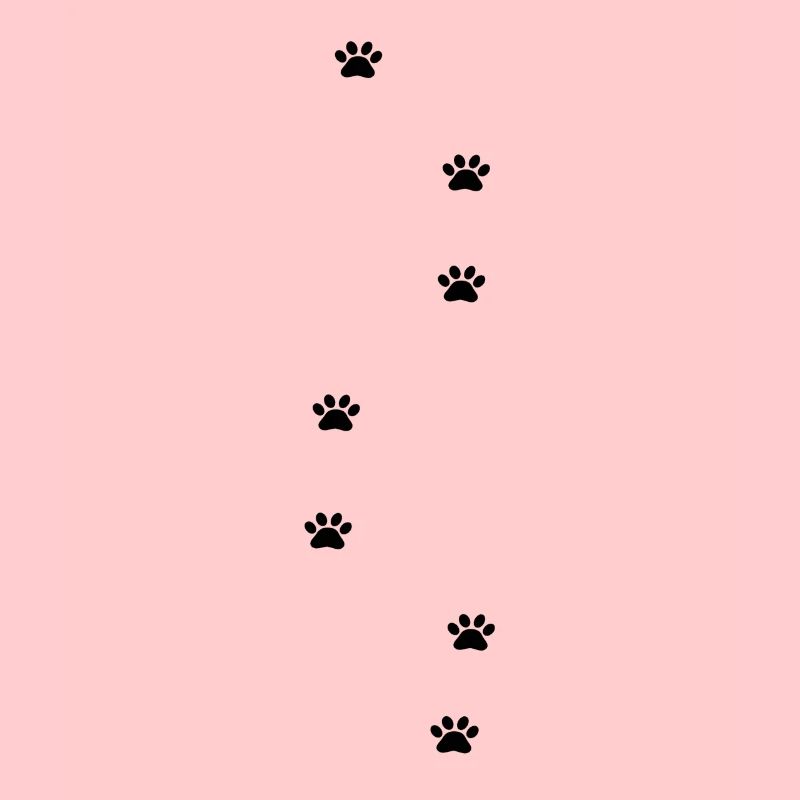 Paws