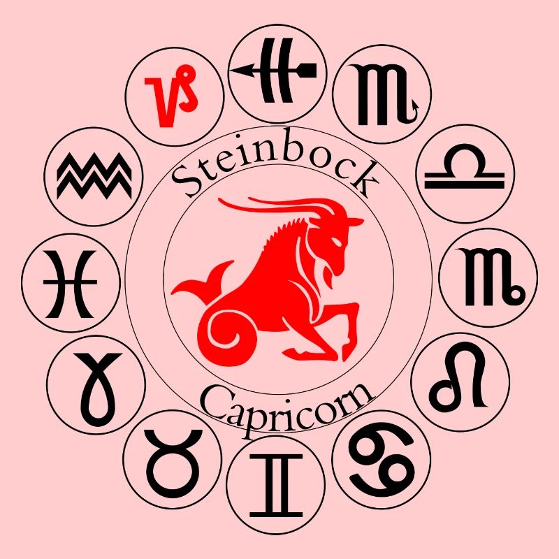 Sternzeichen Steinbock