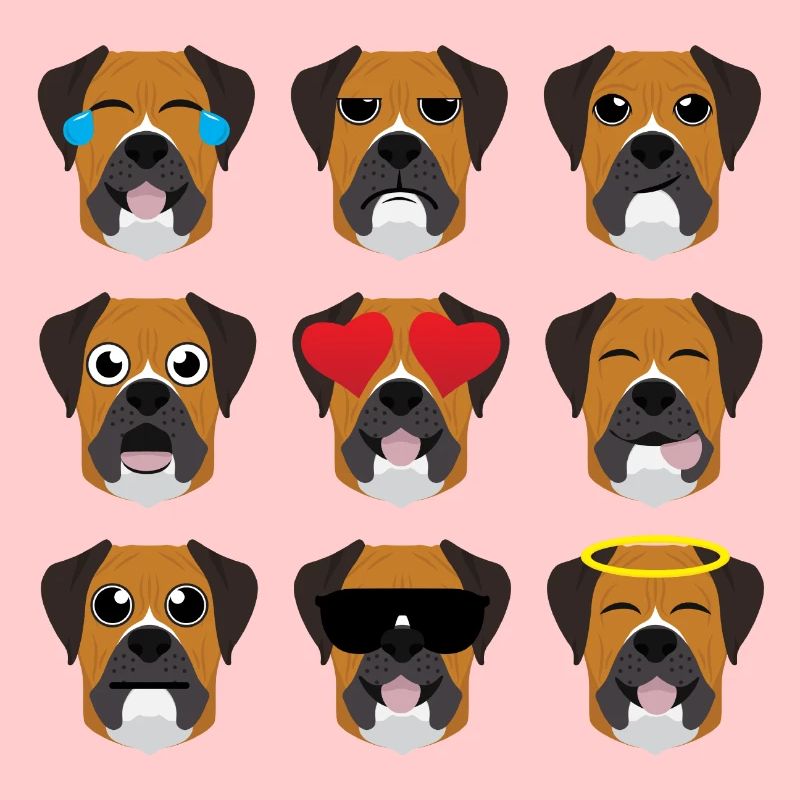 Deutscher Boxer