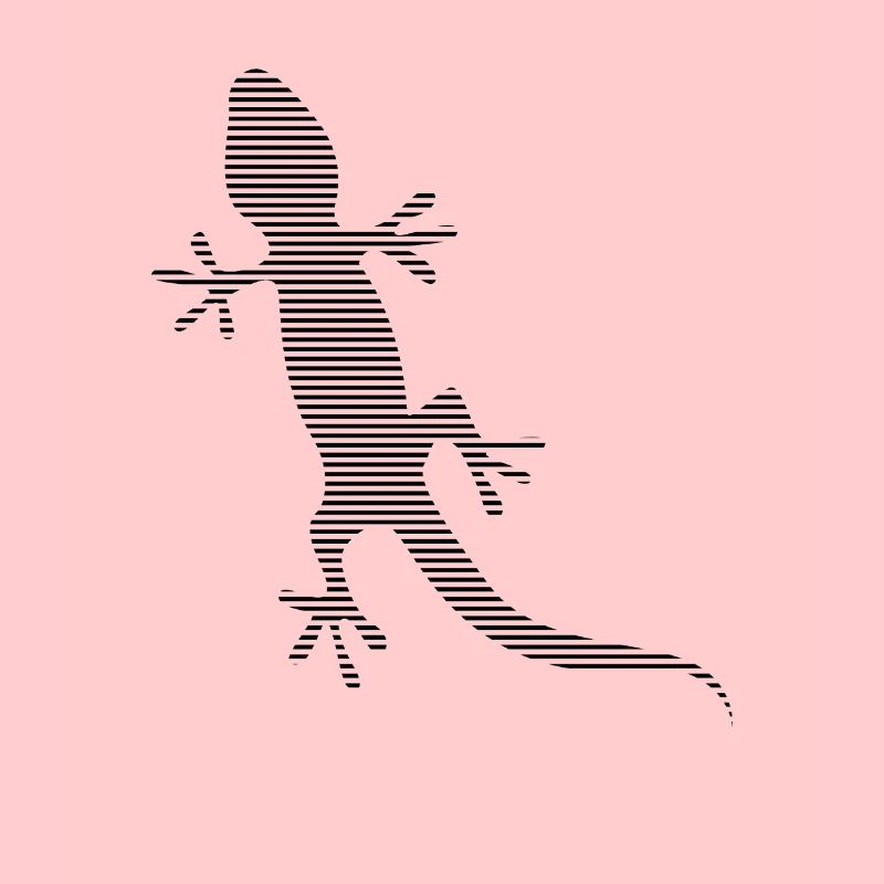 Lizard