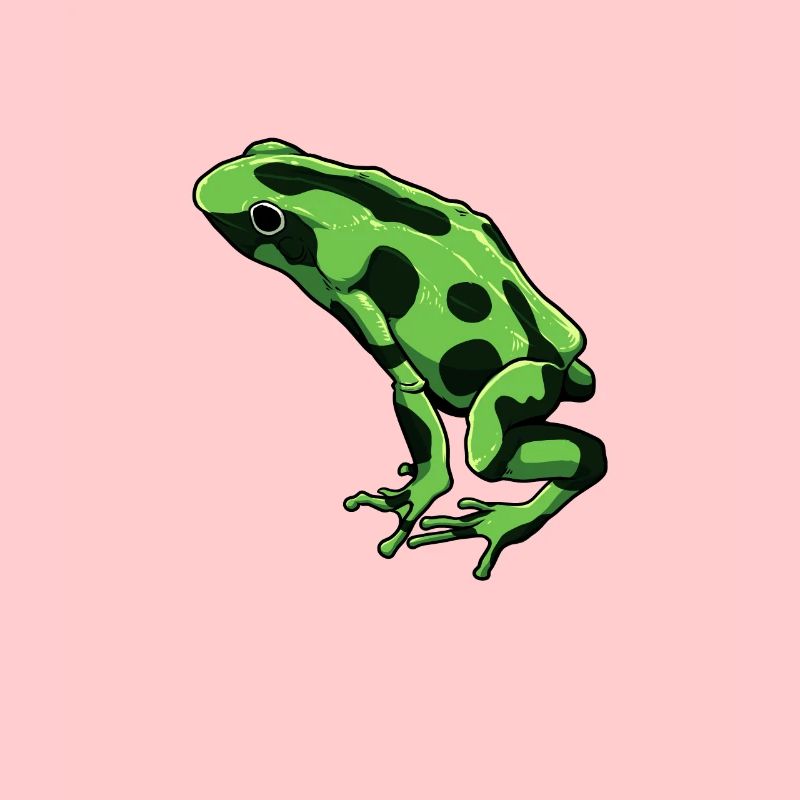 Frog Drawing - Terrible Poison Arrow Frog