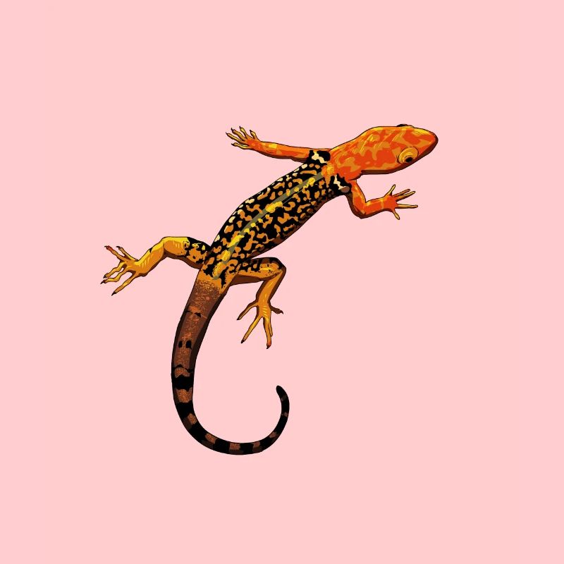 Dessin - Gecko pygmée à tête jaune