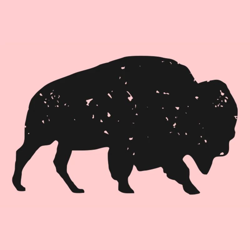 Bison